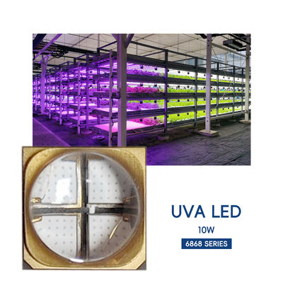 Chiếc chip LED UVA hiệu suất cao trực tiếp của nhà máy SMD6868 365nm 385nm 395nm 10W Đèn LED UV cho chữa UV và máy in 3D