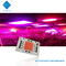 AC 110V 220V 50W 100W Chip LED COB không có trình điều khiển 380-780nm cho phát triển / ánh sáng đường phố