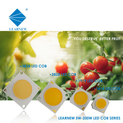 LED COB cho đèn tường và đèn pha