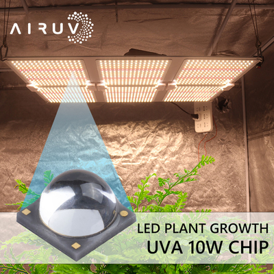 Chip led 10W 365nm 385nm 395nm 6-7V Uva 3W để xử lý tia cực tím