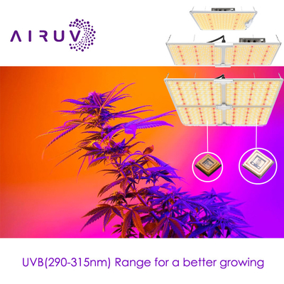 10w 20w 100w UVA UVB UVCLED COB Hiệu quả cao 365nm 385nm 395nm Chi phí hiệu quả