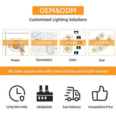 Bi màu Cob LED Chip 6060 CCT kép 2700K 6500K Cob Chip năng lượng cao 300W * 2 đèn LED