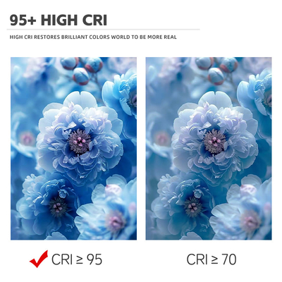 Đèn LED hai màu COB 6060 Bi Color LED COB Wide Range Color DC 205V 300w + 300w LED COB Chip