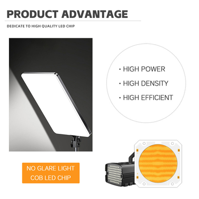 OEM ODM bước sóng BI Màu 205V SMD LED chip Đen ấm + trắng 6060 SMD LED chip phát ra