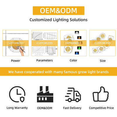 LED COB Chip 200W VF 45V LED Beads DIY Toàn phổ tùy chỉnh