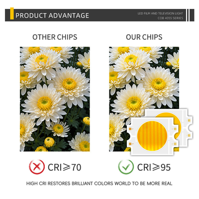 CCT kép 2700K + 6500k Bi-color CRI màu trắng ấm + mát 70 80 90 95 Lượng cao 100W 200W 300W COB LED Chip Bicolor