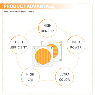 57V Cob Light Source 150W 200W Constant Voltage ấm trắng hai màu tùy chọn hỗ trợ bán lẻ