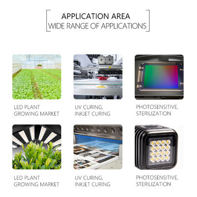 Chip LED UV tùy chỉnh SMD 3535 3838 8025 220-420nm Bảo hành 5 năm