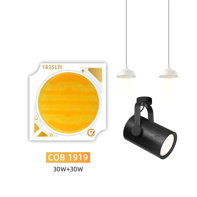 New Product Bi-Color 1919 Chip White + Warm White 1919 Bi-color SMD LED 18w 24w 25w 30w