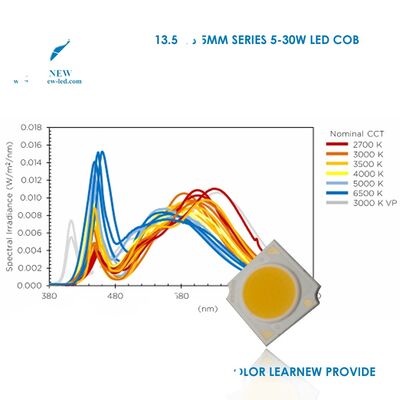 Đèn LED Flood Ánh sáng trắng 3000K/4000K/6000K Công suất cao 10W/15W COB LED Có thể điều chỉnh độ sáng Góc chiếu 120 độ Bảo hành 3 năm