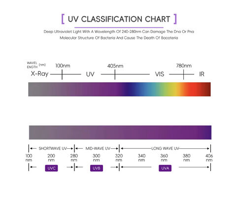 Bóng đèn UV làm rám da 100W 120W 365Nm UVA 310Nm UVB Tỷ lệ 10:1 Đèn thủy ngân thay thế 1.8M 2.0M Chứng nhận CE TSGK