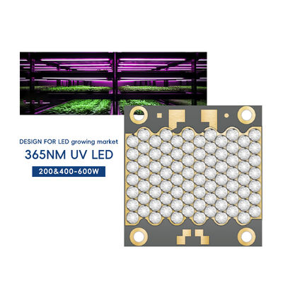 Máy tiếp xúc Máy in phun UV Chữa máy in 3D 110W Dòng 3535 Tùy chỉnh 365nm 385nm 395nm Công suất cao UVA LED