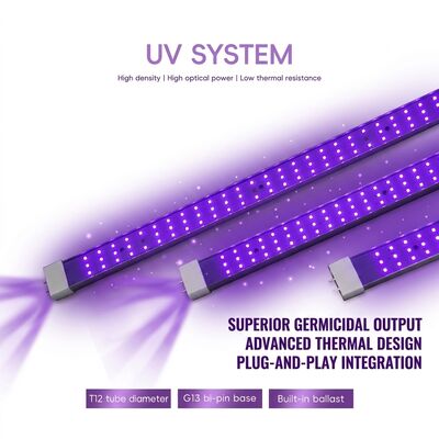 Giải pháp UVC 365nm 370W 100W 120W Đèn diệt trùng UV Nhà cung cấp Đèn kích thích ánh sáng UVC xa