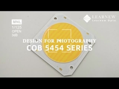 5454 Chip nhiệt độ màu kép