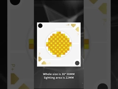 3838 đèn LED COB màu kép