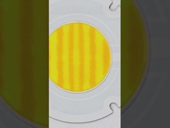 Dòng COB hai màu R60mm